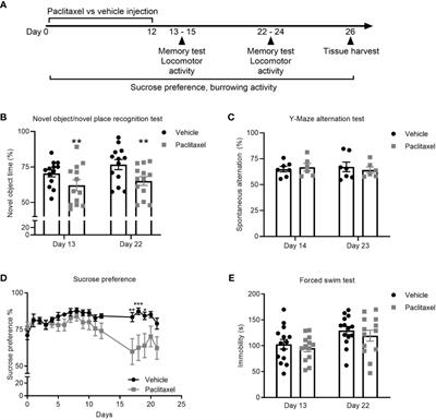 The Anti-Inflammatory Drug Aspirin Does Not Protect Against Chemotherapy-Induced Memory Impairment by Paclitaxel in Mice